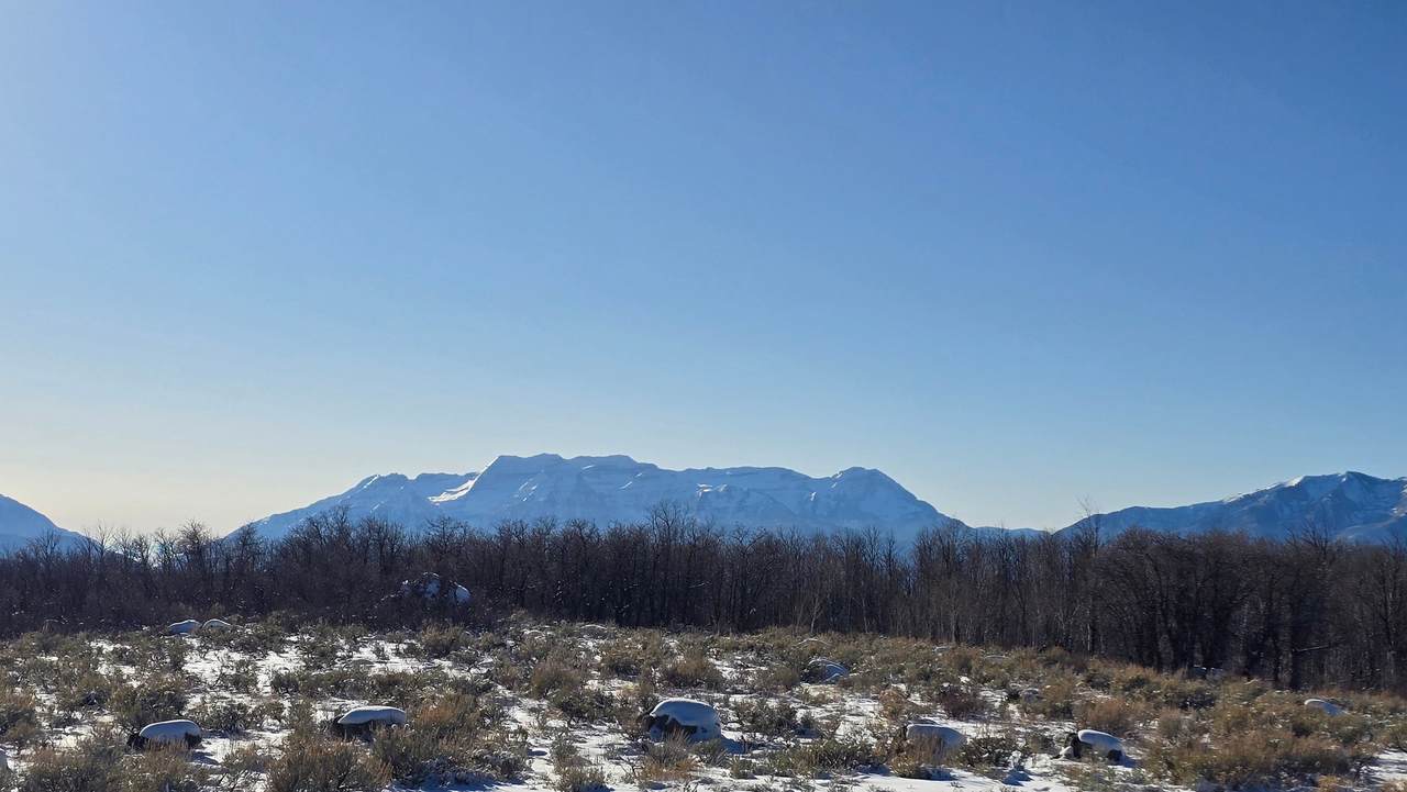2173 Westward Ho Rd - Photo 1
