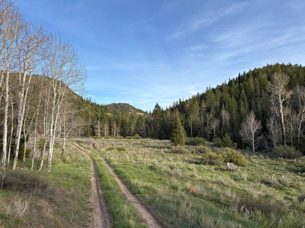 https://bt-photos.global.ssl.fastly.net/wasatch/1280_boomver_1_2163536-1.jpg