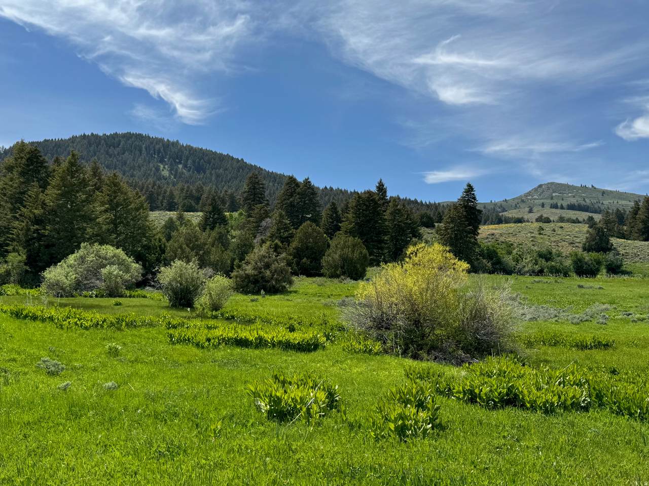 https://bt-photos.global.ssl.fastly.net/wasatch/1280_boomver_1_2163556-1.jpg