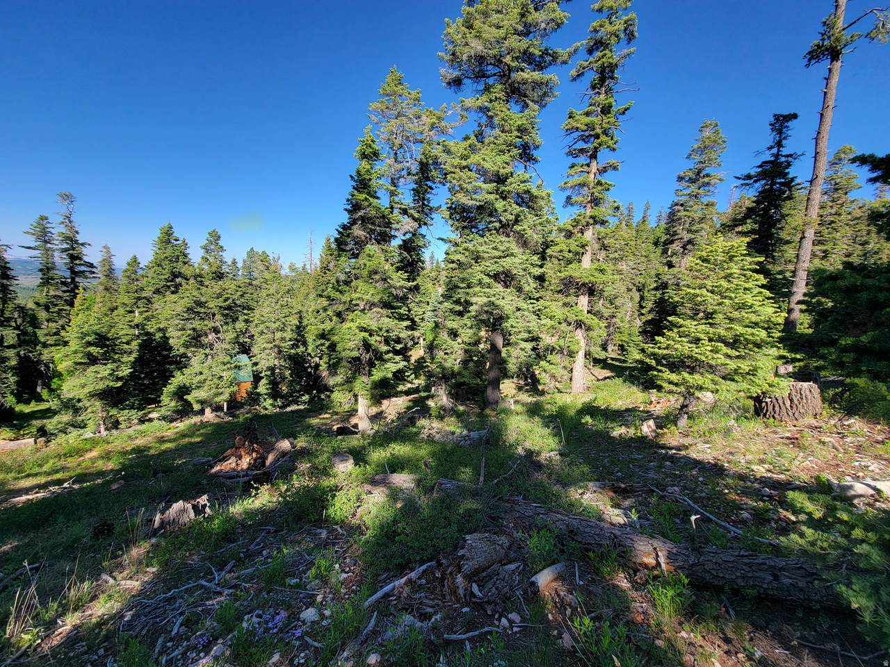 https://bt-photos.global.ssl.fastly.net/wasatch/1280_boomver_1_2163988-1.jpg