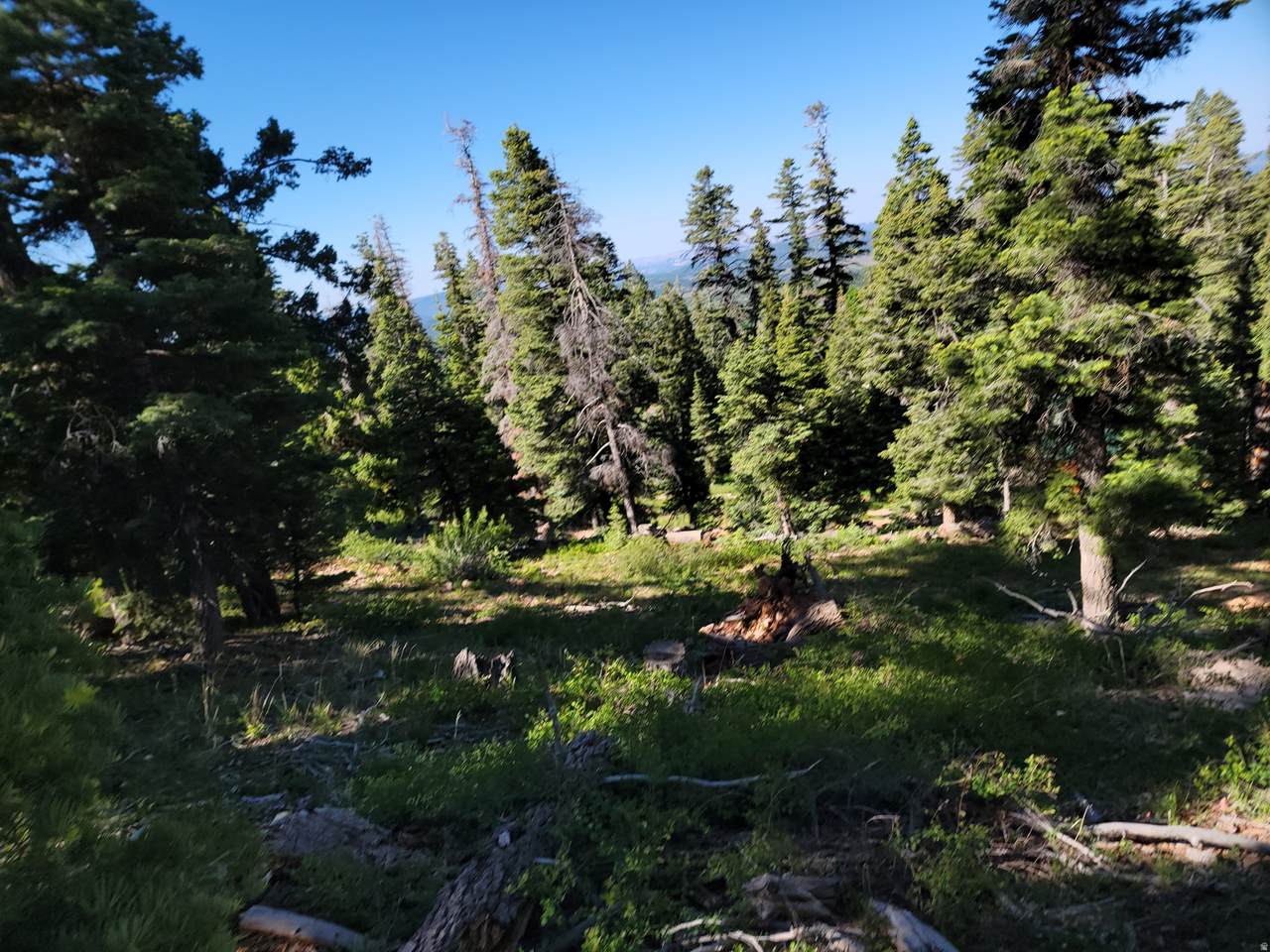 https://bt-photos.global.ssl.fastly.net/wasatch/1280_boomver_1_2163988-1.jpg