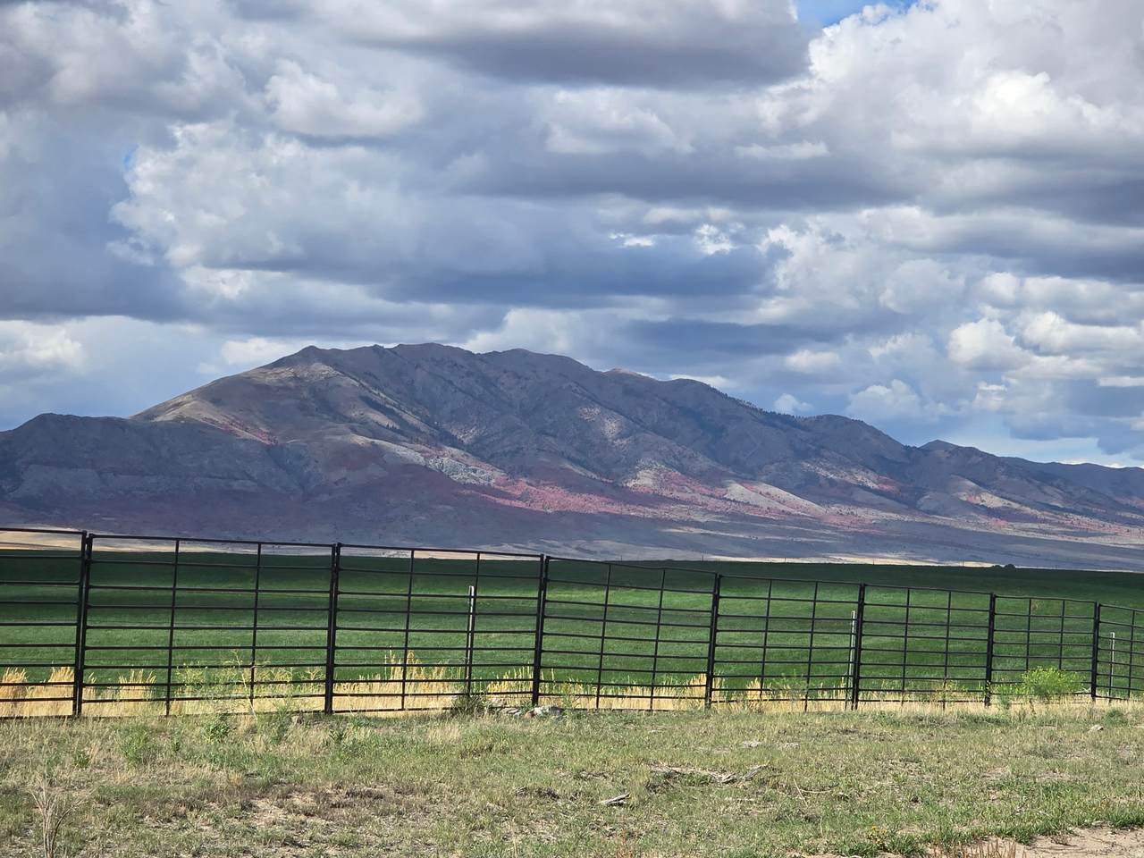 https://bt-photos.global.ssl.fastly.net/wasatch/1280_boomver_1_2164112-1.jpg