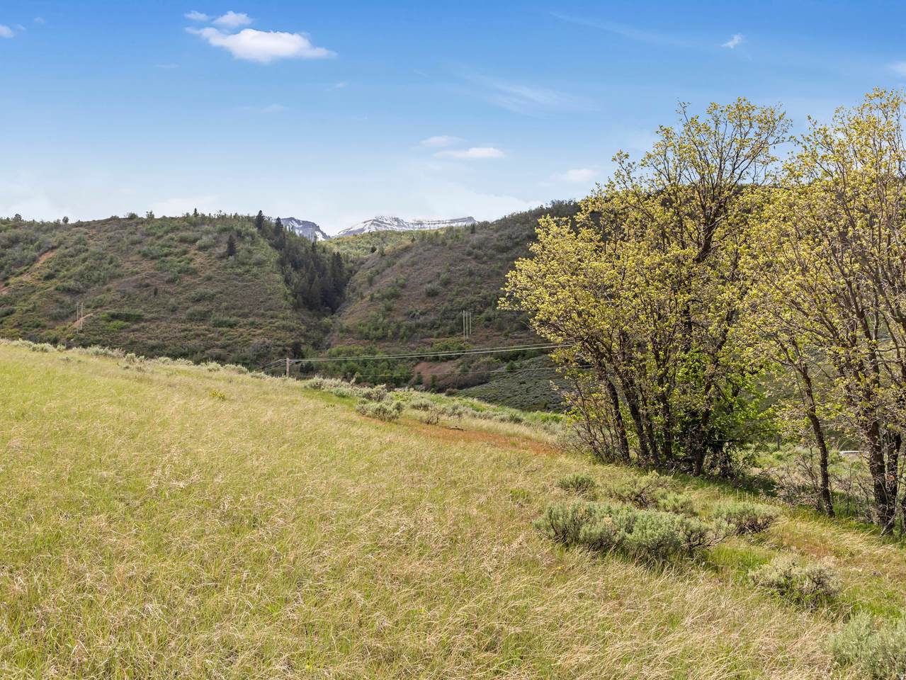 https://bt-photos.global.ssl.fastly.net/wasatch/1280_boomver_1_2164192-1.jpg