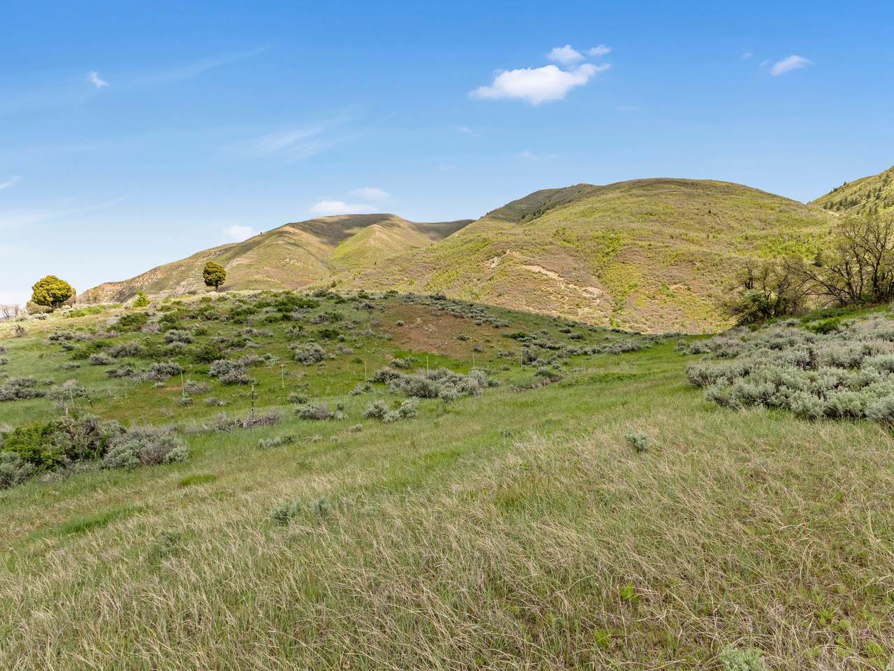 https://bt-photos.global.ssl.fastly.net/wasatch/1280_boomver_1_2164192-1.jpg