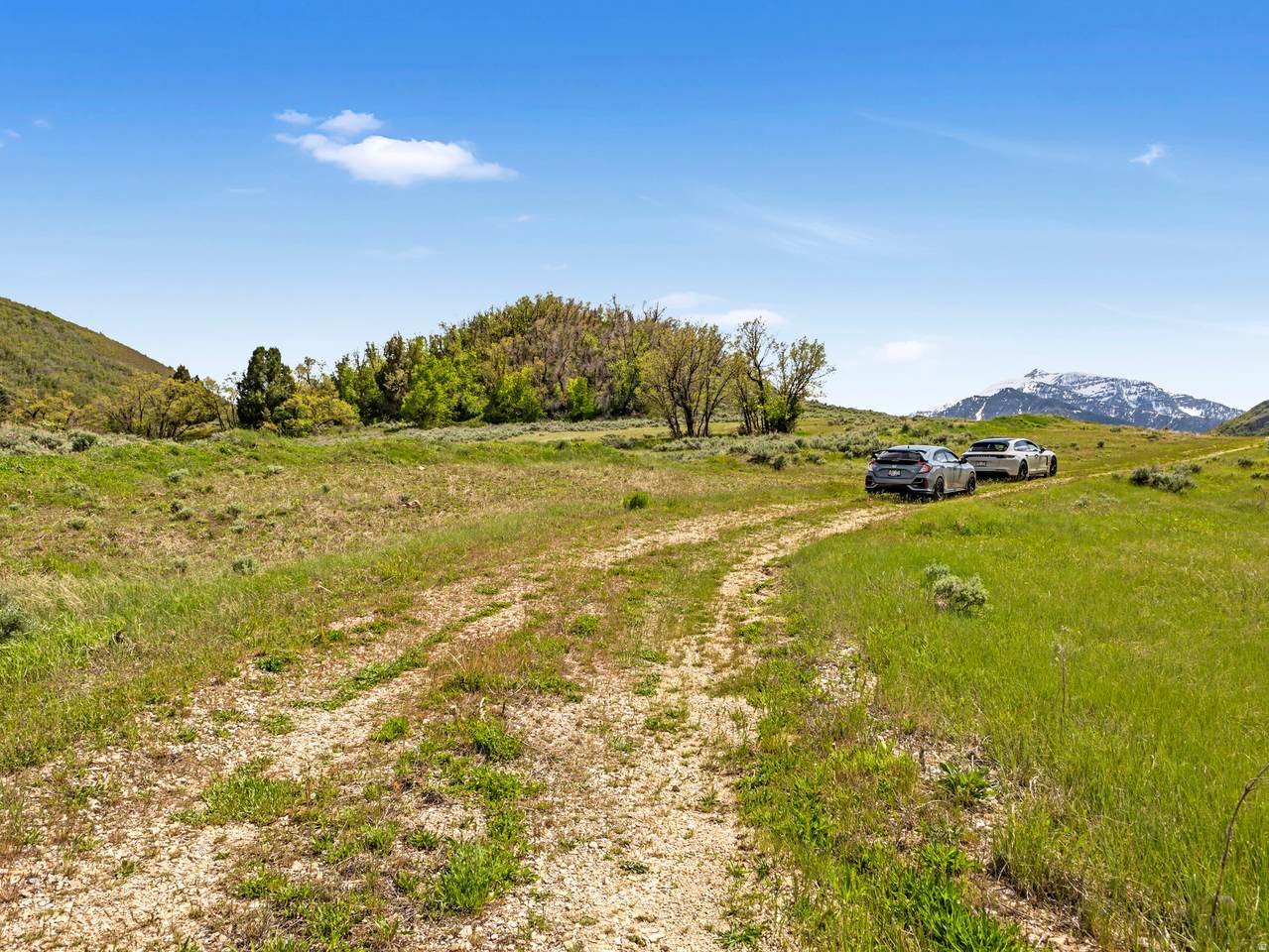 https://bt-photos.global.ssl.fastly.net/wasatch/1280_boomver_1_2164192-1.jpg
