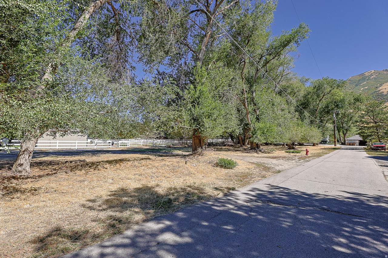 1511 Winter Glen Ln - Photo 1
