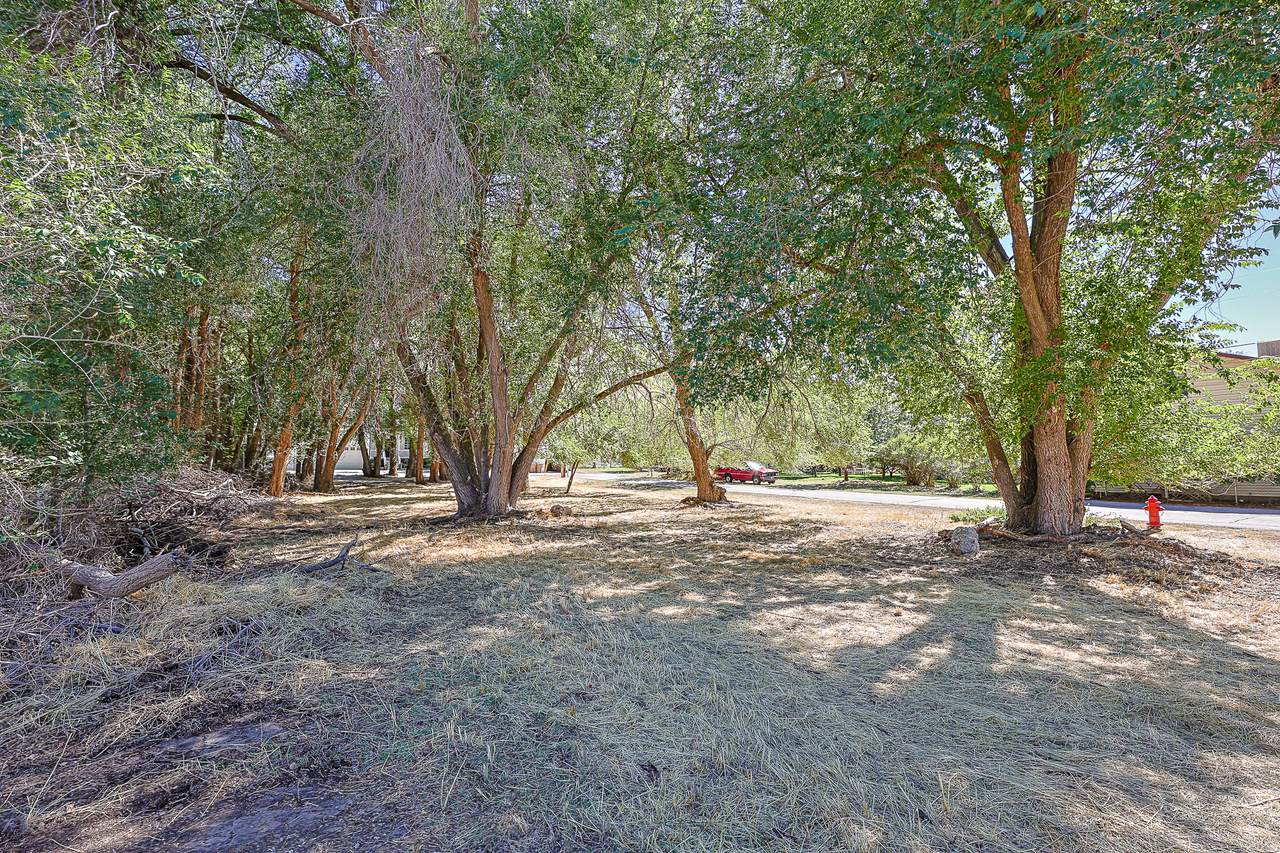https://bt-photos.global.ssl.fastly.net/wasatch/1280_boomver_1_2164300-1.jpg