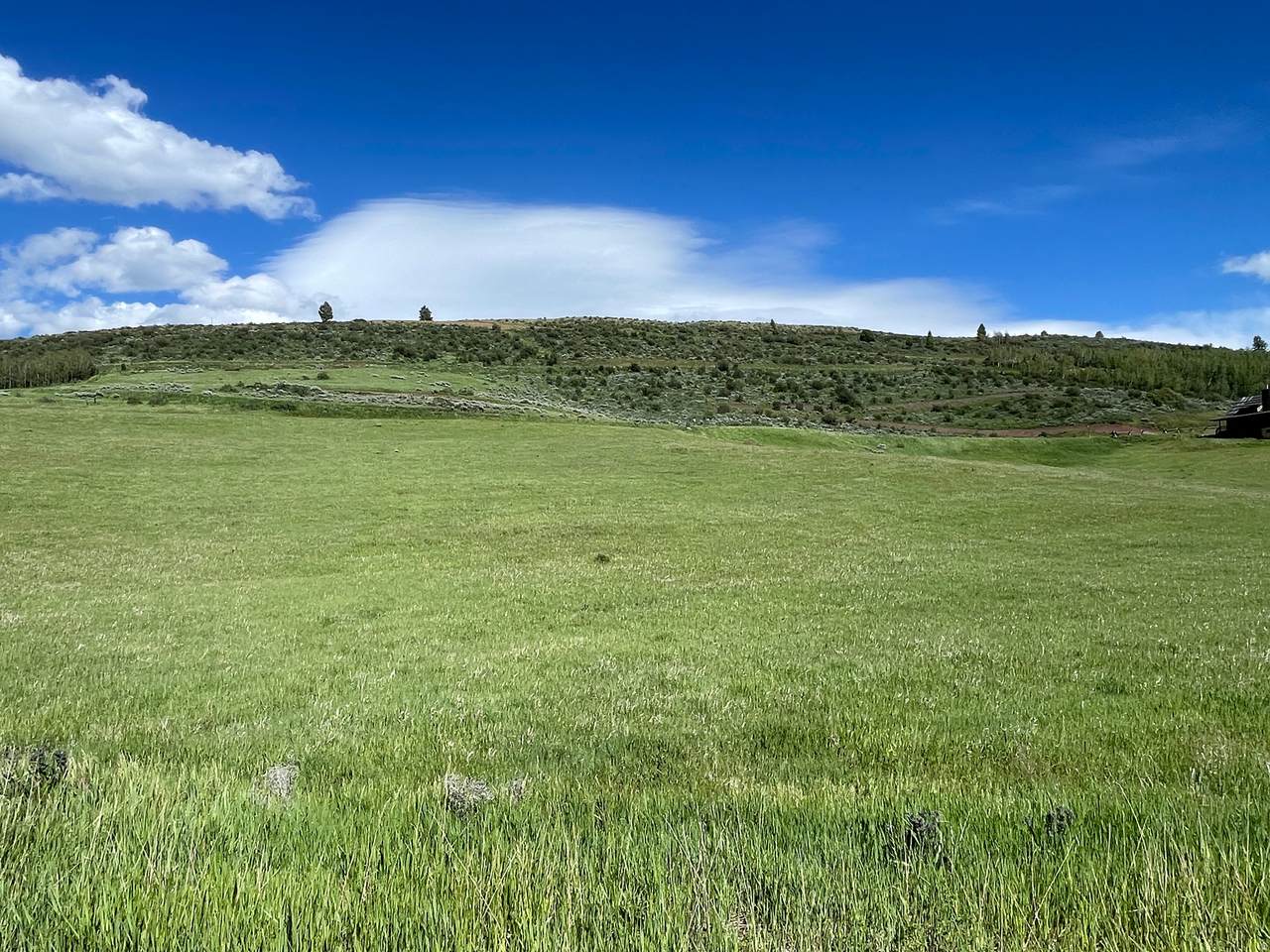 https://bt-photos.global.ssl.fastly.net/wasatch/1280_boomver_1_2164628-1.jpg