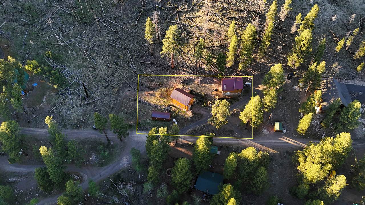 1262 Pine Ln - Photo 1