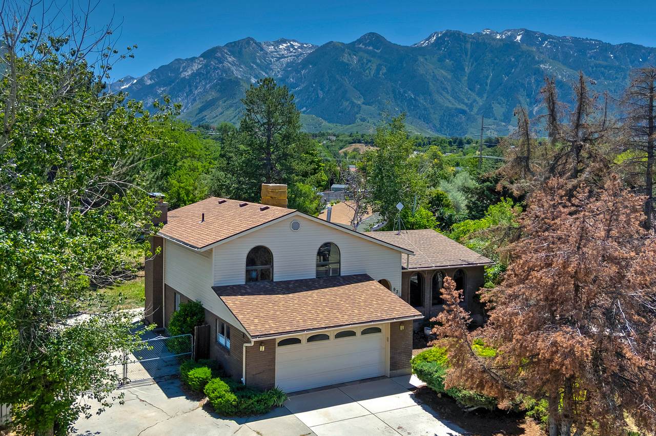 9363 Solena Way - Photo 1