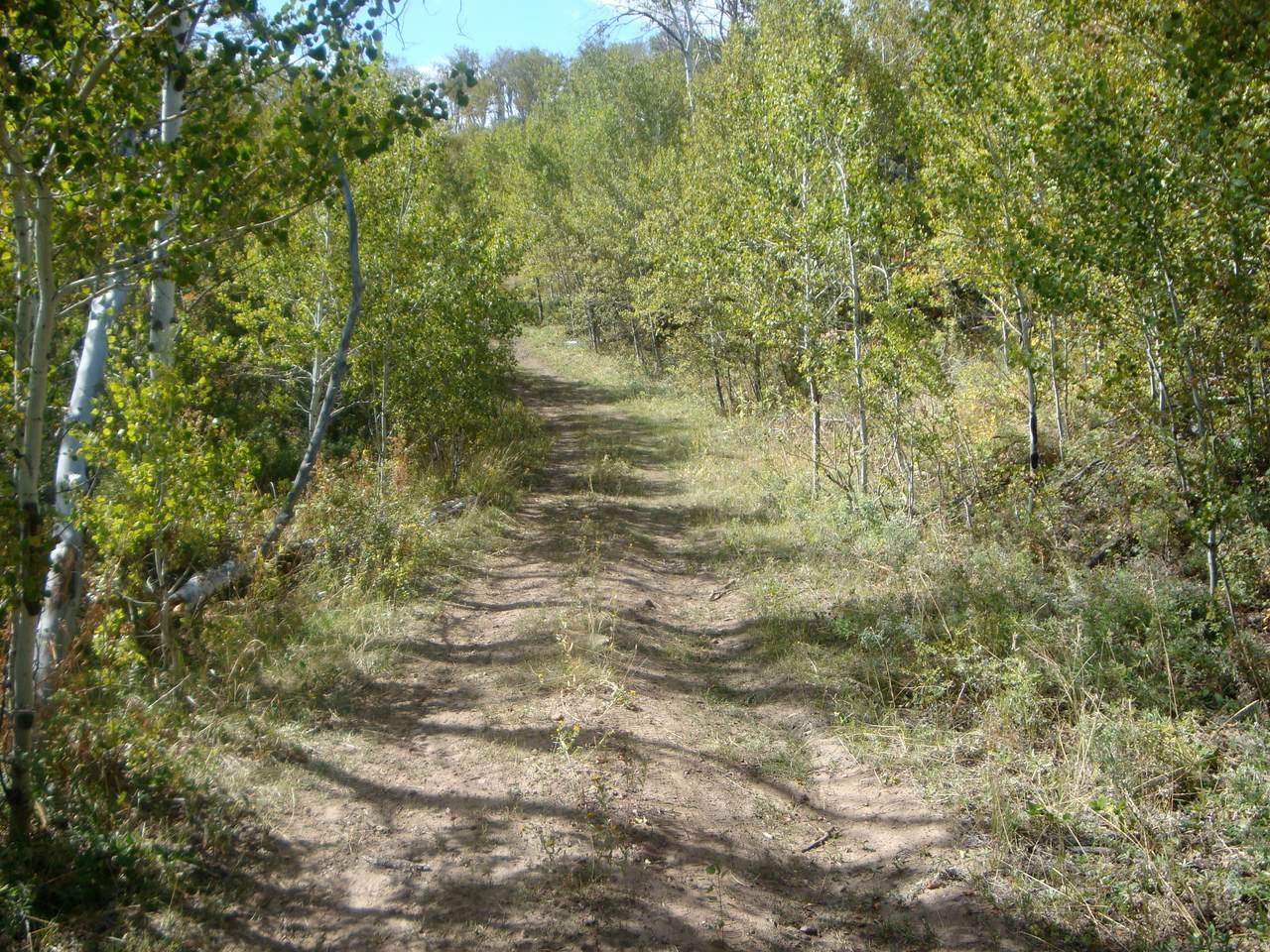 https://bt-photos.global.ssl.fastly.net/wasatch/orig_boomver_1_2165390-1.jpg