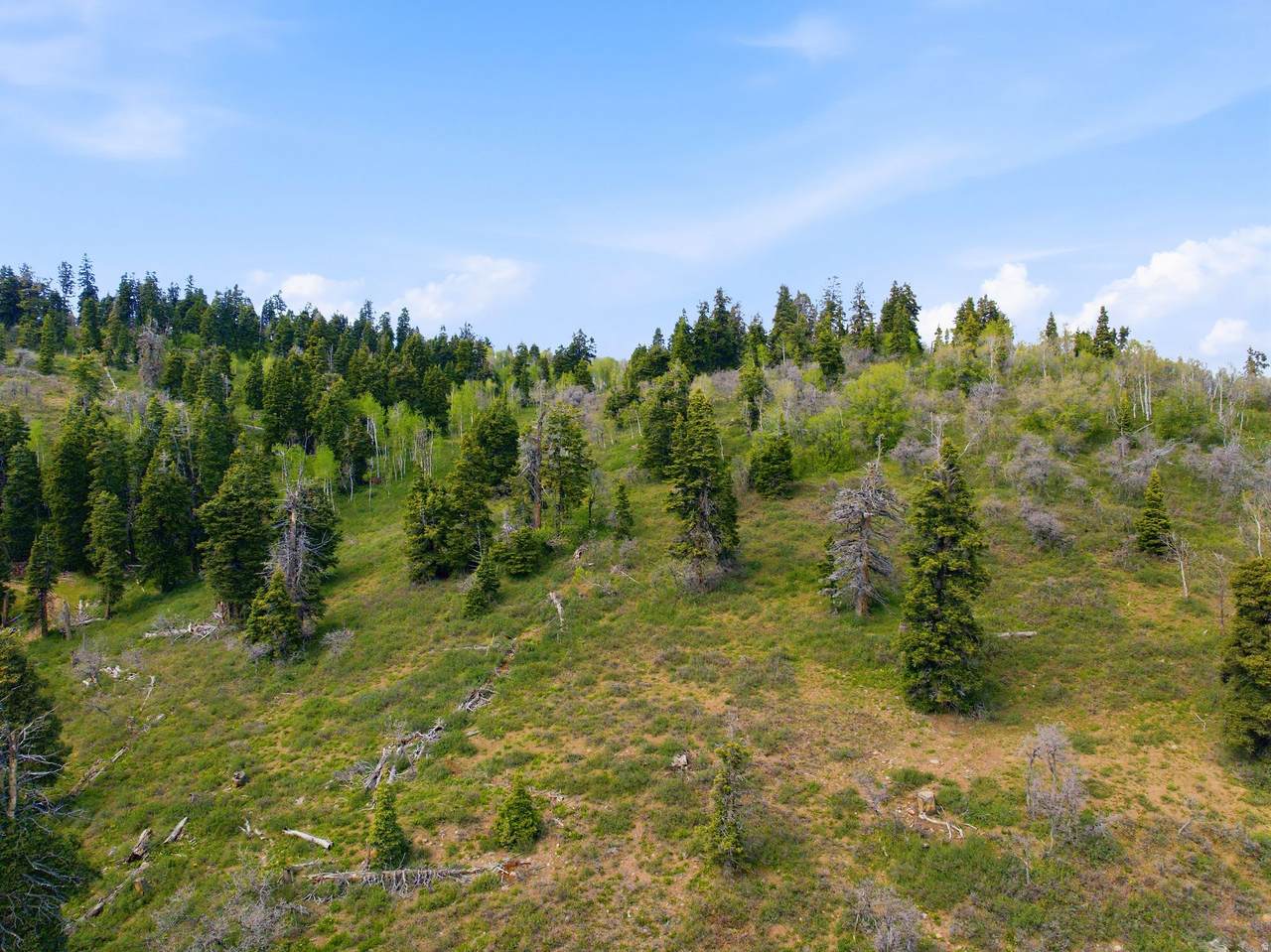 140 Elk Rd - Photo 1