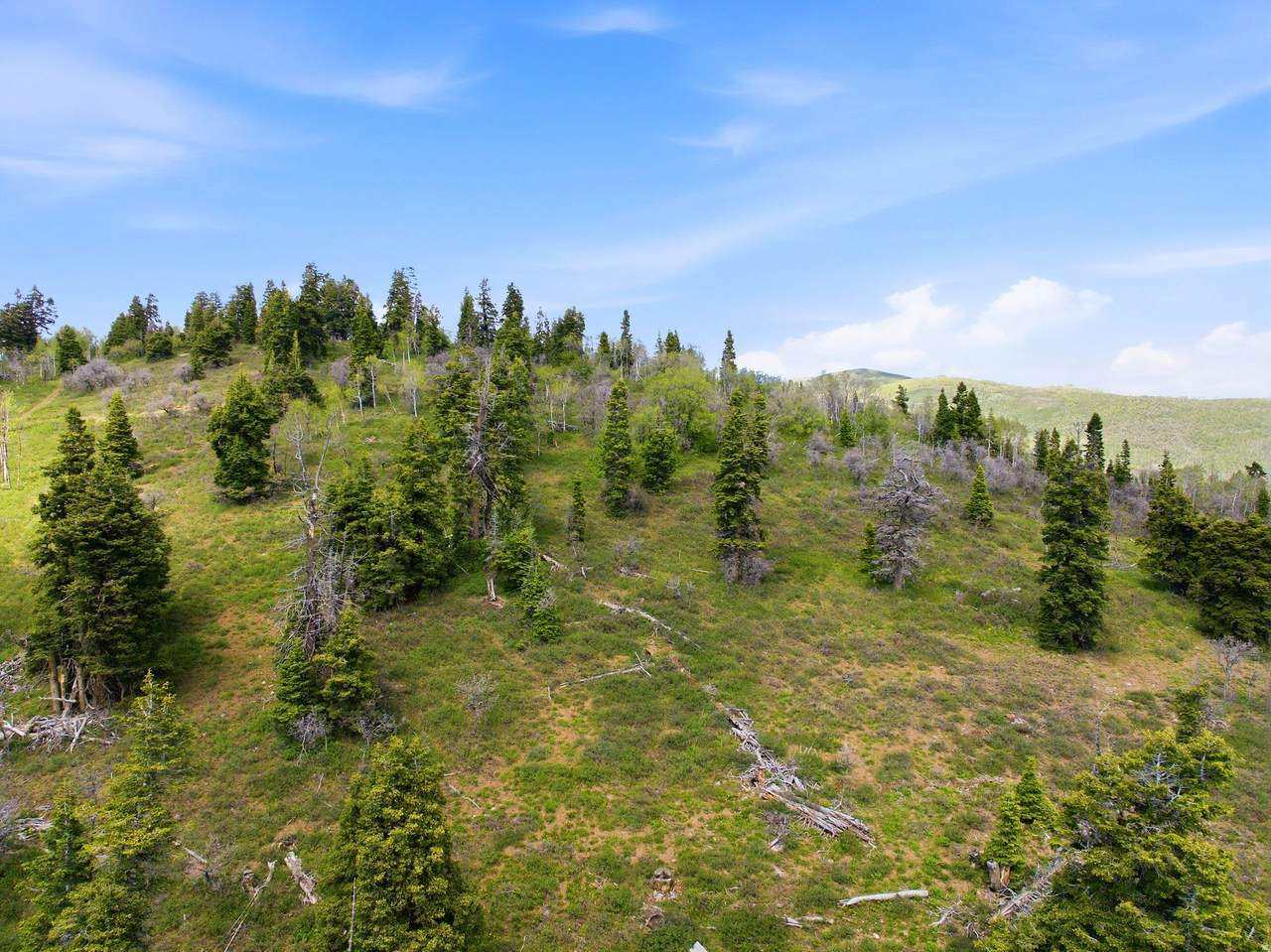 https://bt-photos.global.ssl.fastly.net/wasatch/1280_boomver_1_2165453-1.jpg