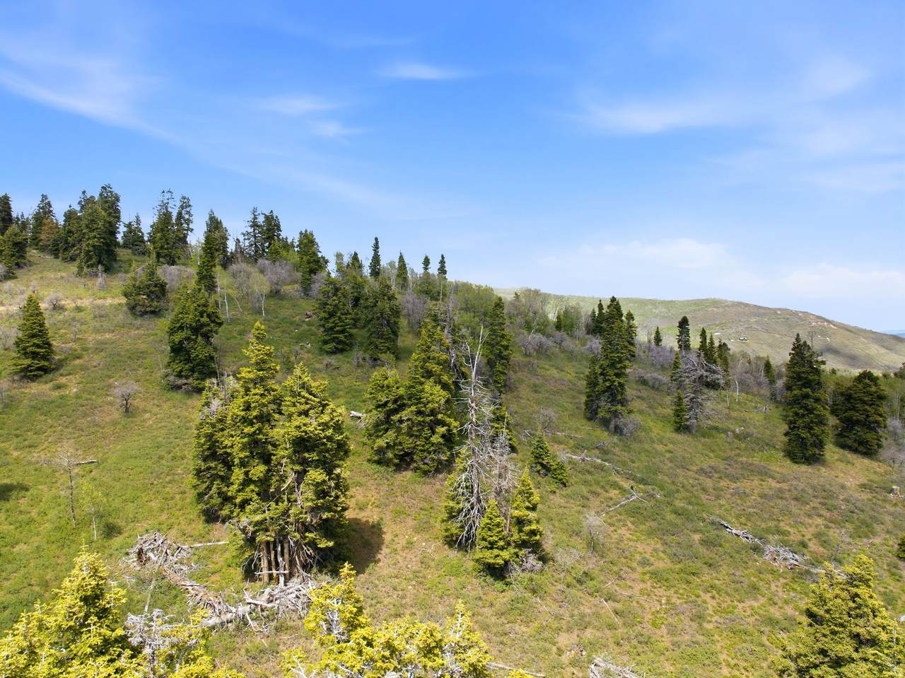 https://bt-photos.global.ssl.fastly.net/wasatch/1280_boomver_1_2165453-1.jpg