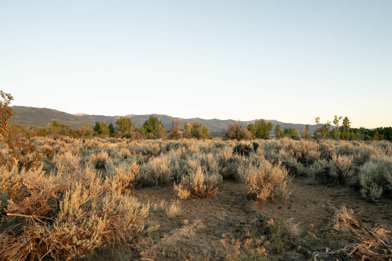 https://bt-photos.global.ssl.fastly.net/wasatch/1280_boomver_1_2165576-1.jpg