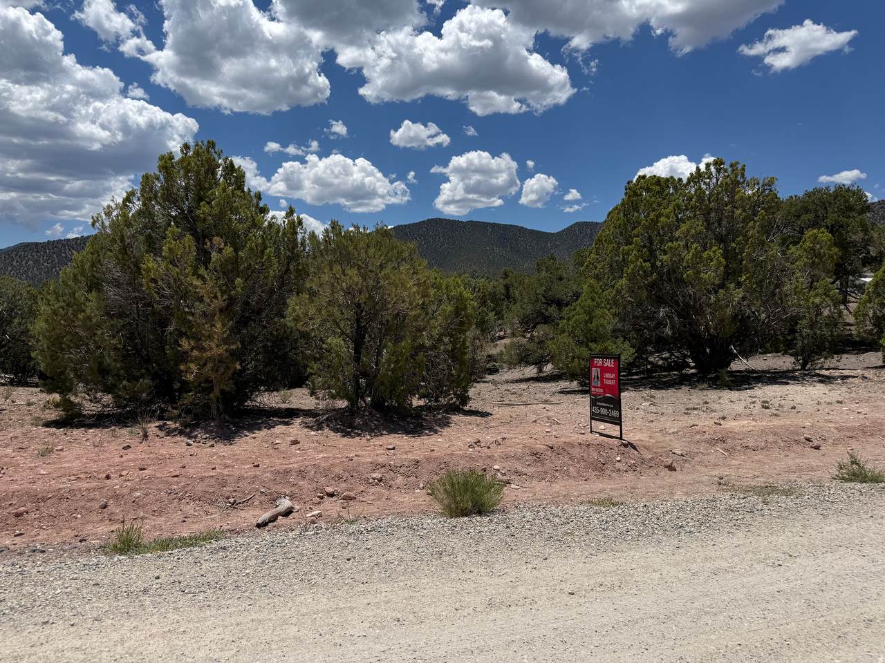 17501 Silverpeak Ln - Photo 1