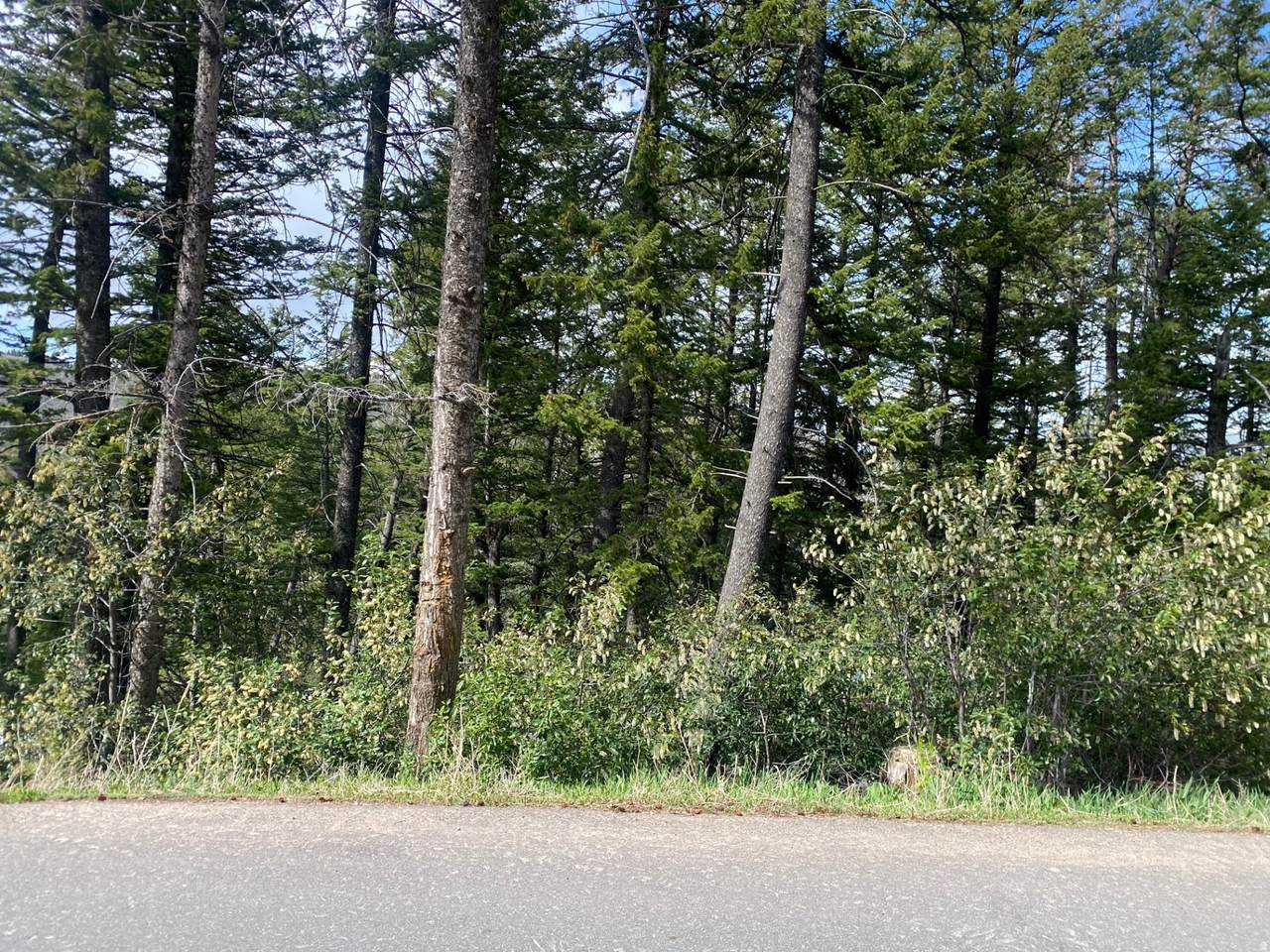 446 Upper Evergreen Dr - Photo 1