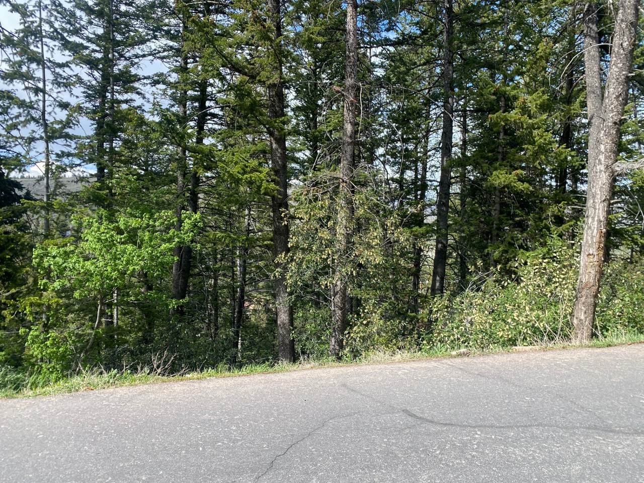 https://bt-photos.global.ssl.fastly.net/wasatch/1280_boomver_1_2165754-1.jpg