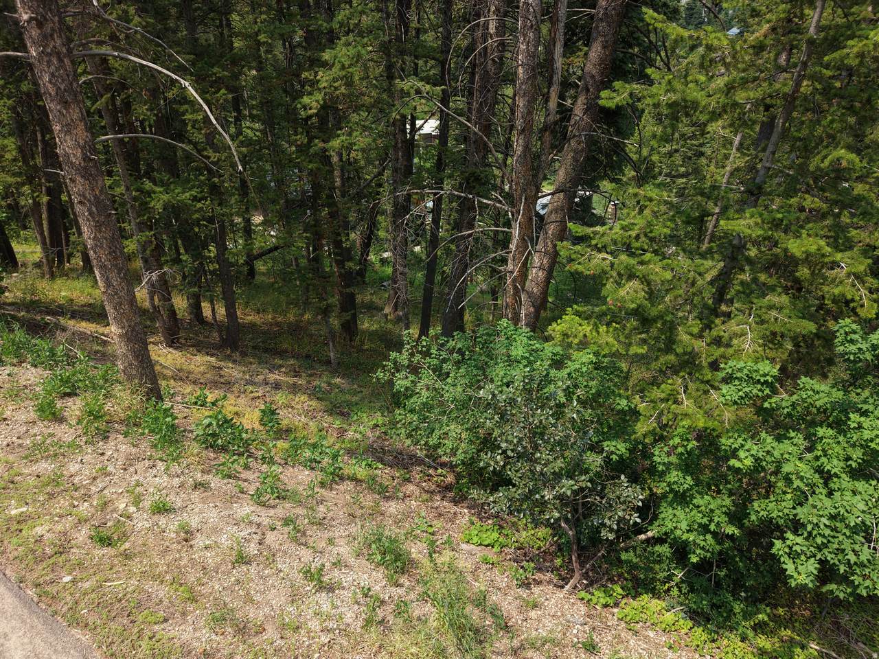 https://bt-photos.global.ssl.fastly.net/wasatch/1280_boomver_1_2165754-1.jpg