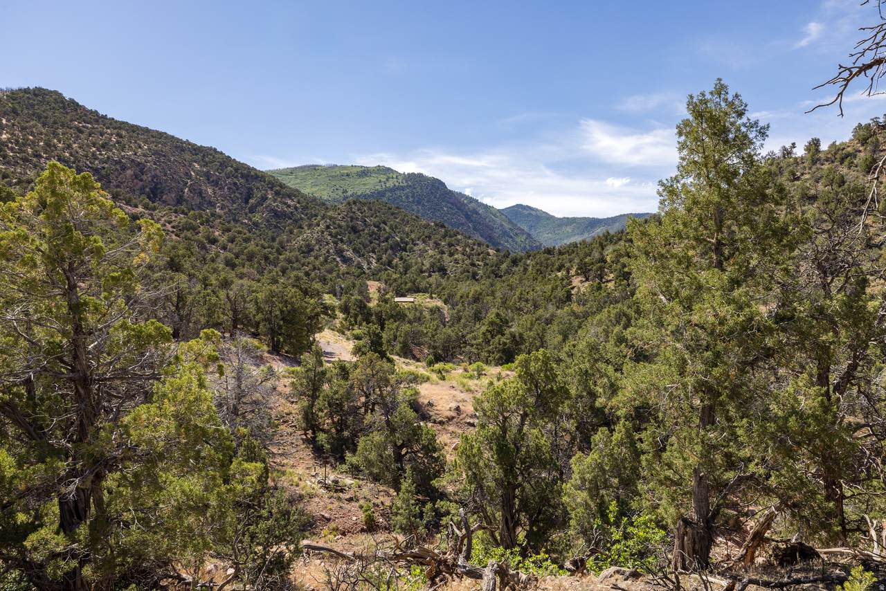 4 La Sal Pass Spur - Photo 1
