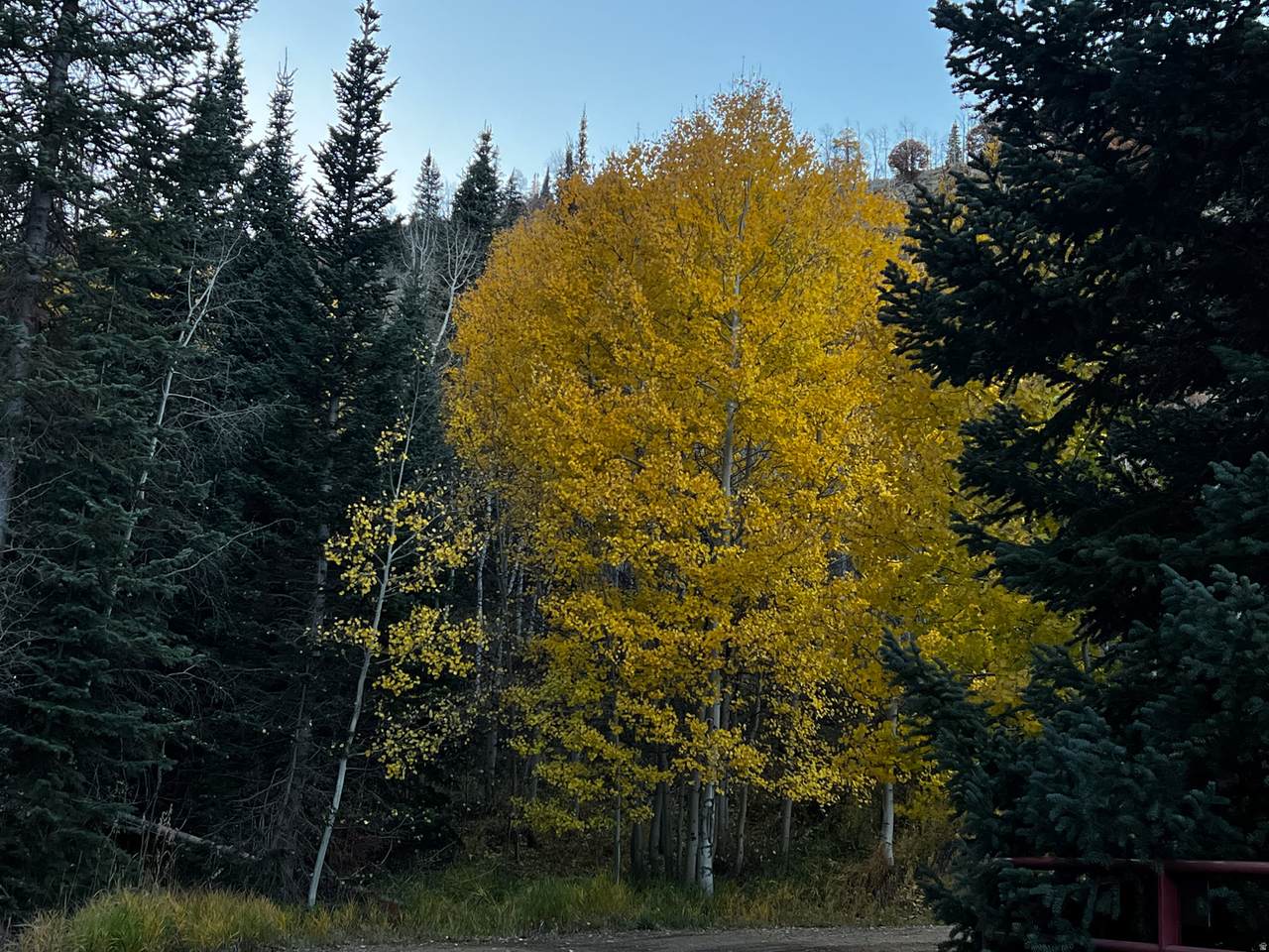 https://bt-photos.global.ssl.fastly.net/wasatch/orig_boomver_1_2166068-1.jpg