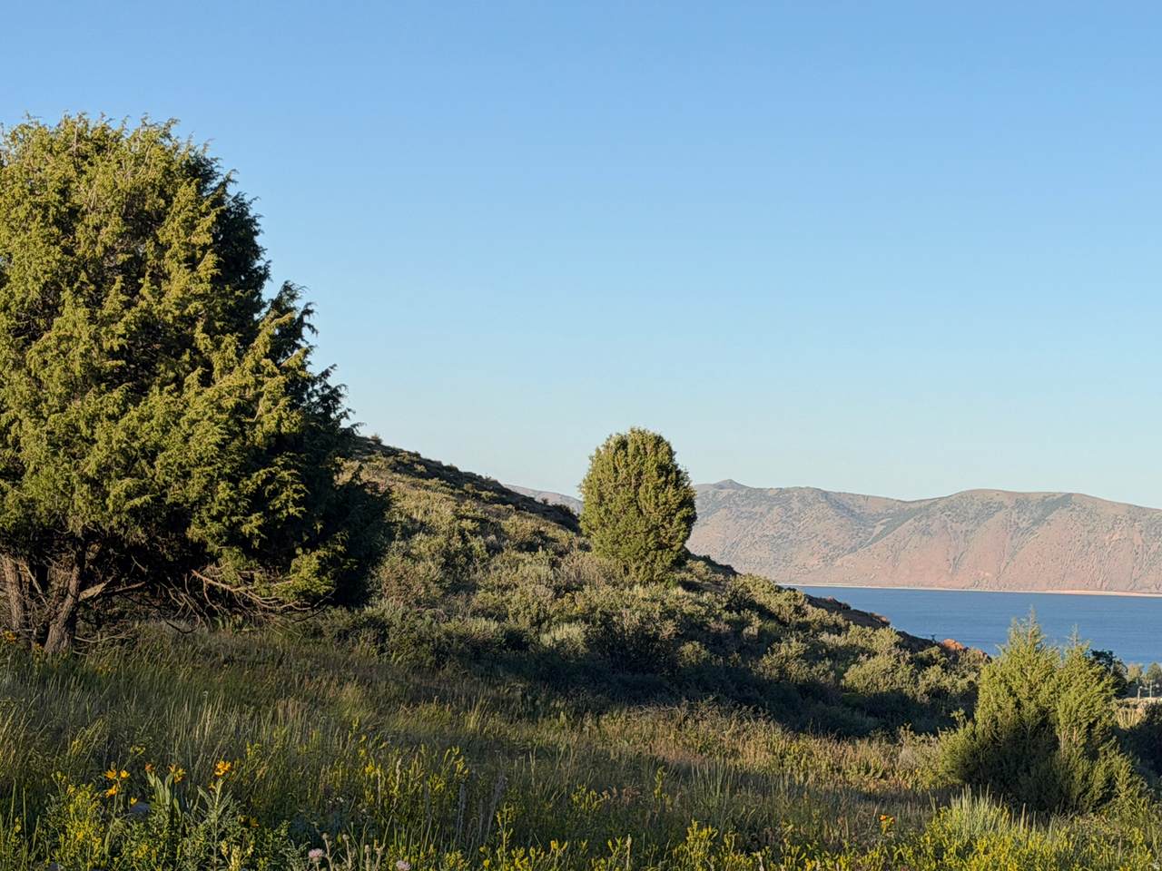 https://bt-photos.global.ssl.fastly.net/wasatch/1280_boomver_1_2166111-1.jpg