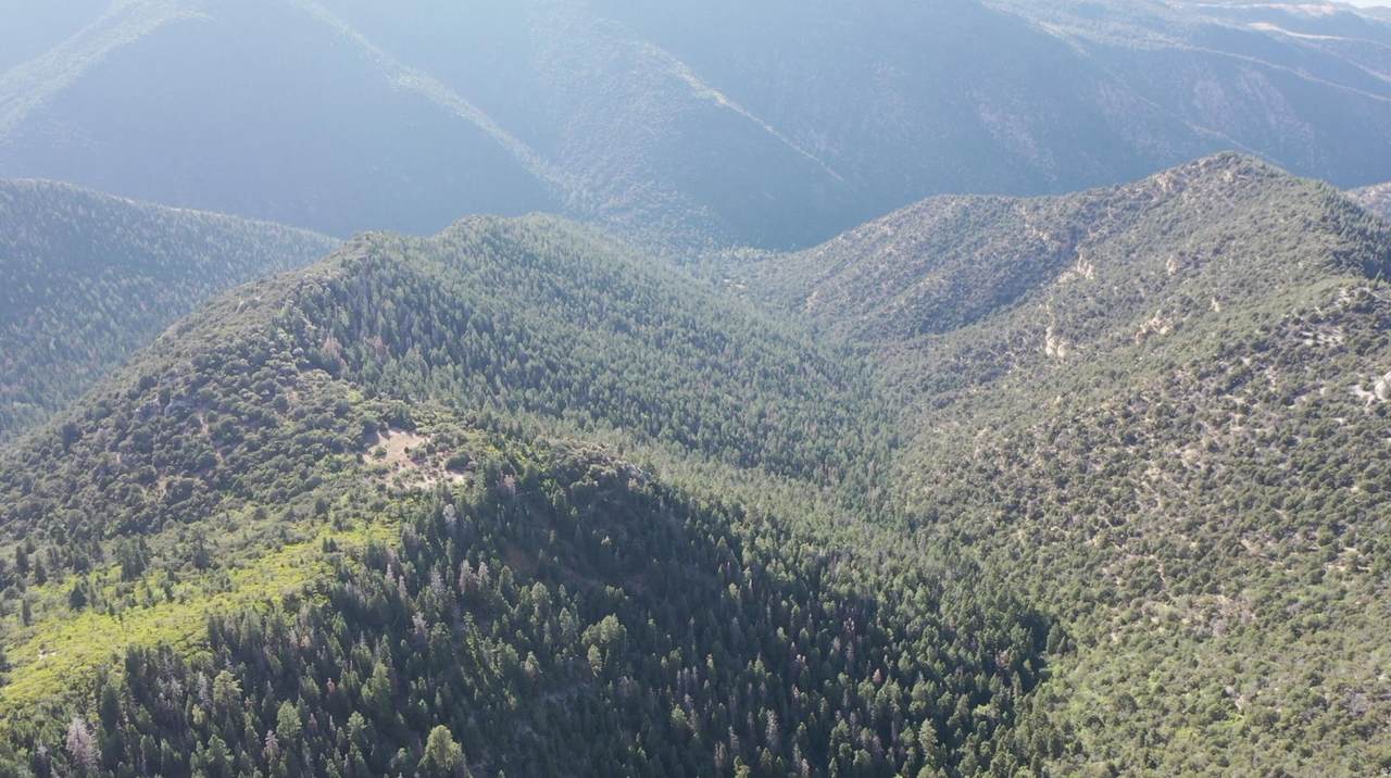 5 Acres Near Dry Lakes Rd - Photo 1