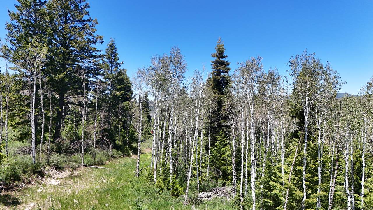 https://bt-photos.global.ssl.fastly.net/wasatch/1280_boomver_2_2166929-1.jpg