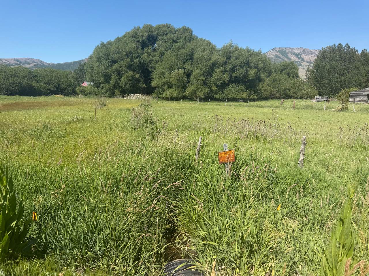 https://bt-photos.global.ssl.fastly.net/wasatch/1280_boomver_1_2166953-1.jpg