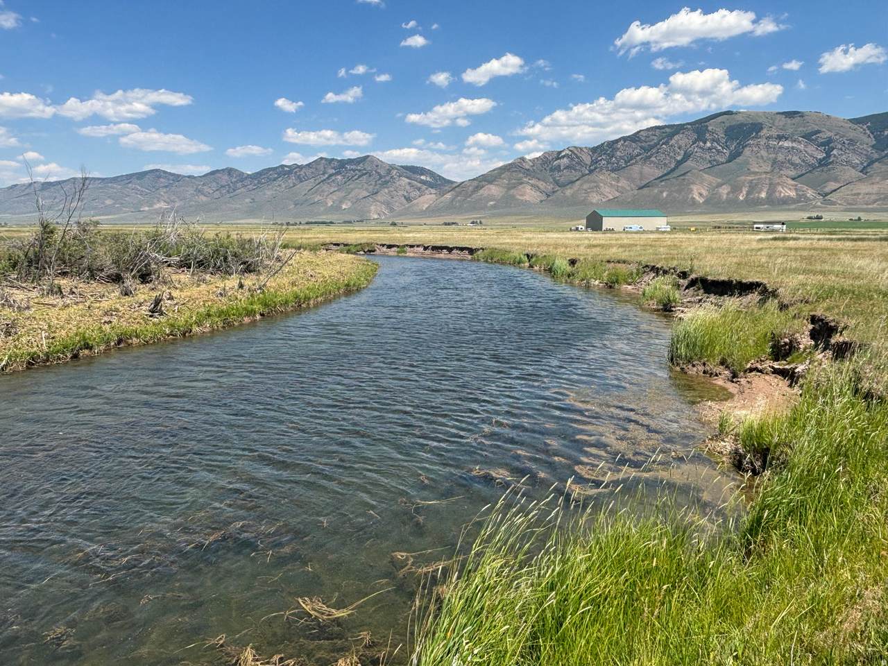 https://bt-photos.global.ssl.fastly.net/wasatch/1280_boomver_1_2167008-1.jpg