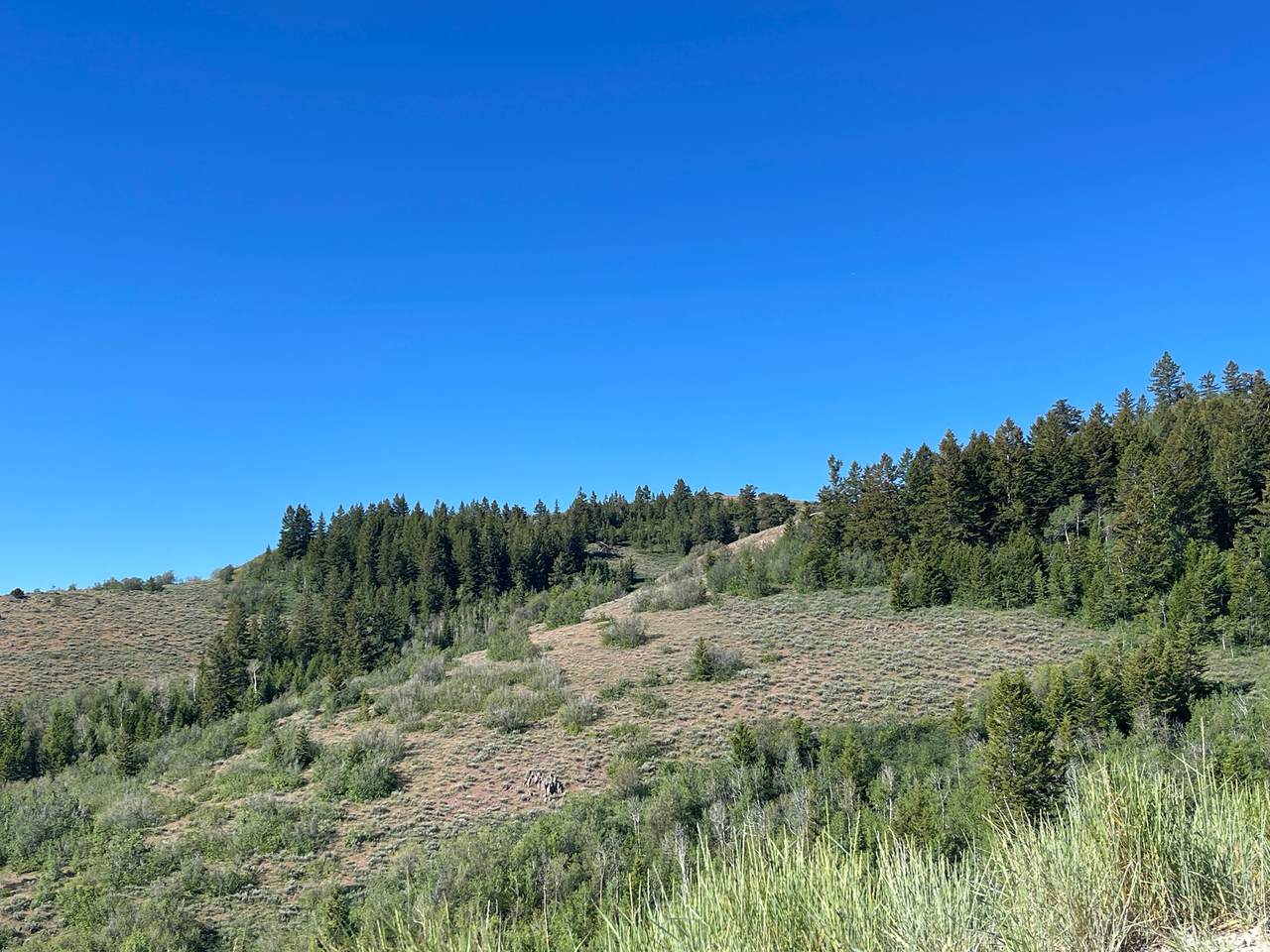 https://bt-photos.global.ssl.fastly.net/wasatch/1280_boomver_1_2167064-1.jpg