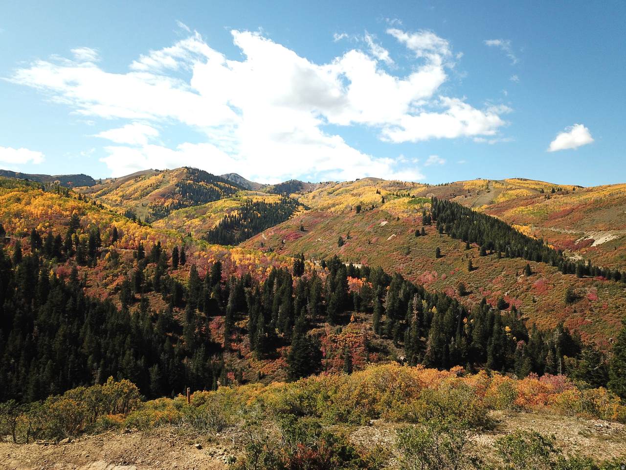 https://bt-photos.global.ssl.fastly.net/wasatch/1280_boomver_1_2167659-1.jpg