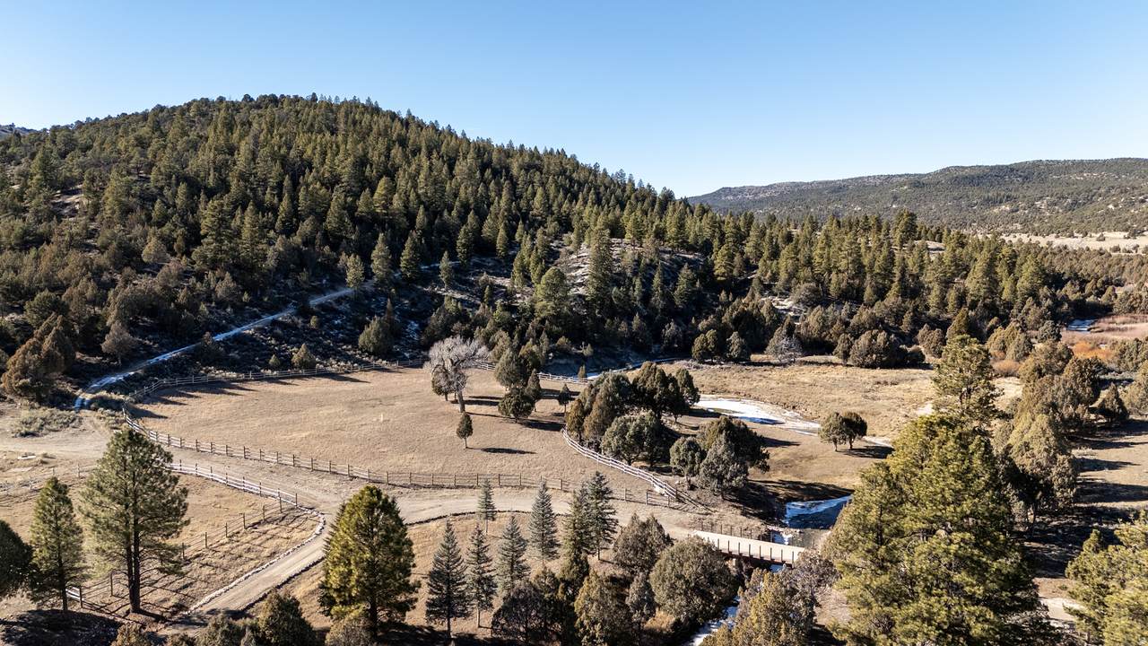 1955 Mammoth Creek Rd - Photo 1