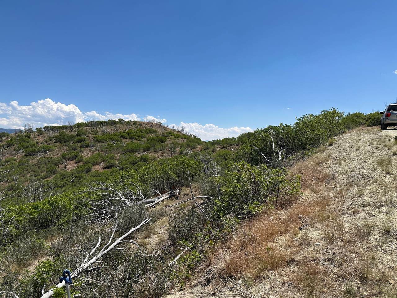 https://bt-photos.global.ssl.fastly.net/wasatch/1280_boomver_1_2168541-1.jpg