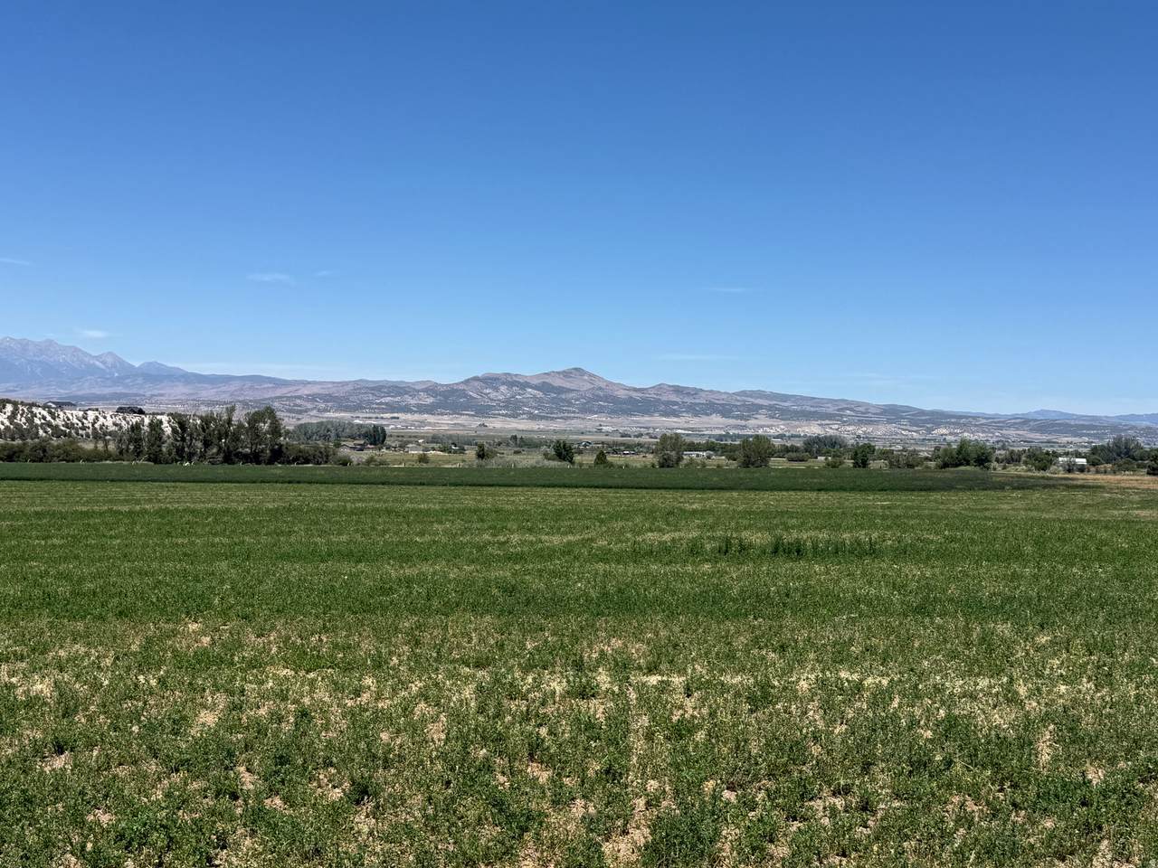 https://bt-photos.global.ssl.fastly.net/wasatch/1280_boomver_1_2168774-1.jpg
