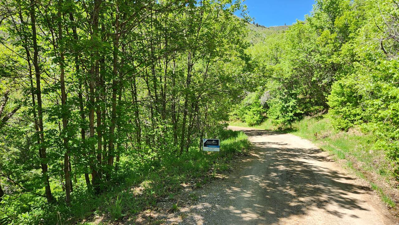 22465 Elk Meadow Dr - Photo 1