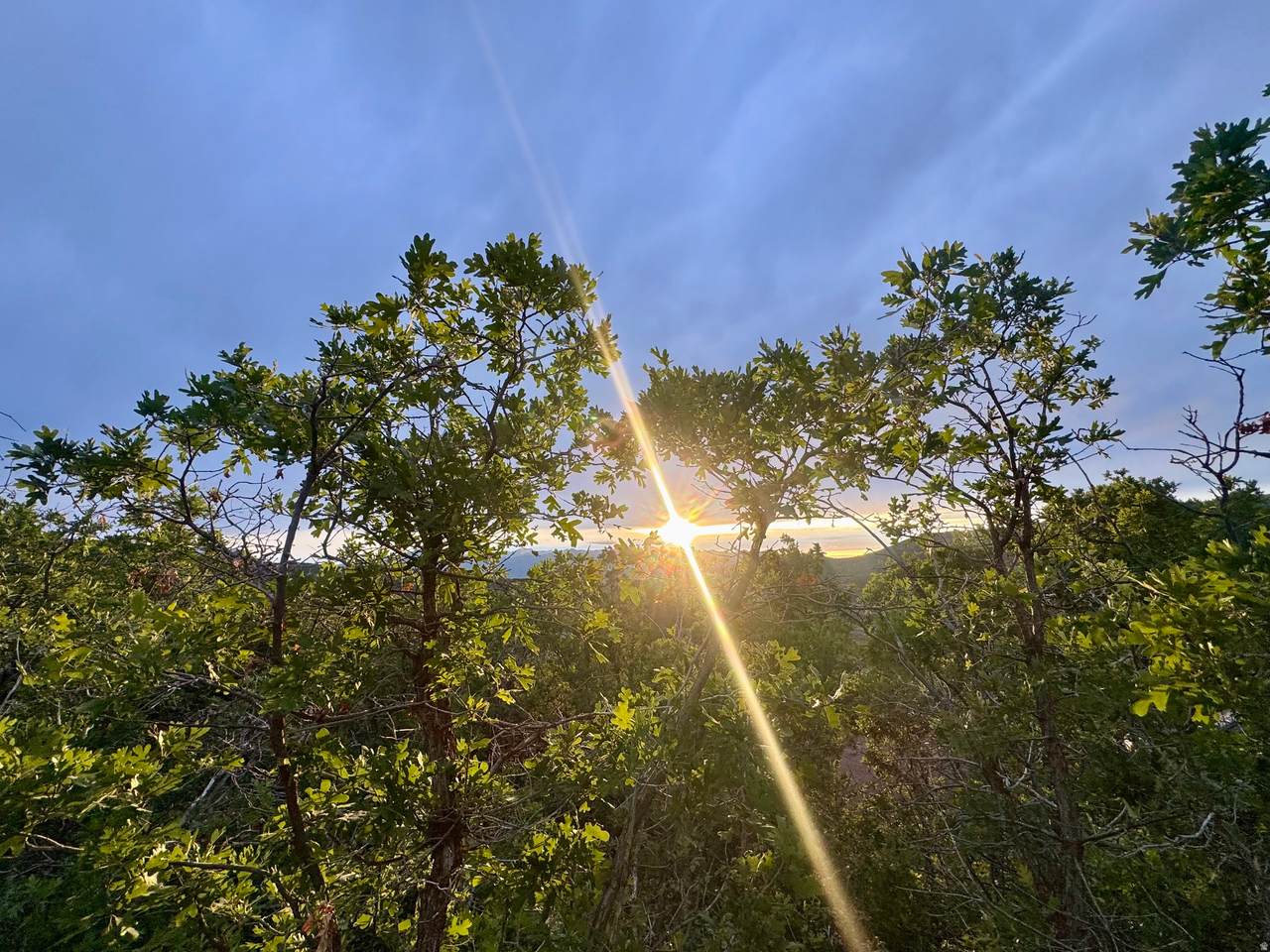 https://bt-photos.global.ssl.fastly.net/wasatch/1280_boomver_1_2169220-1.jpg