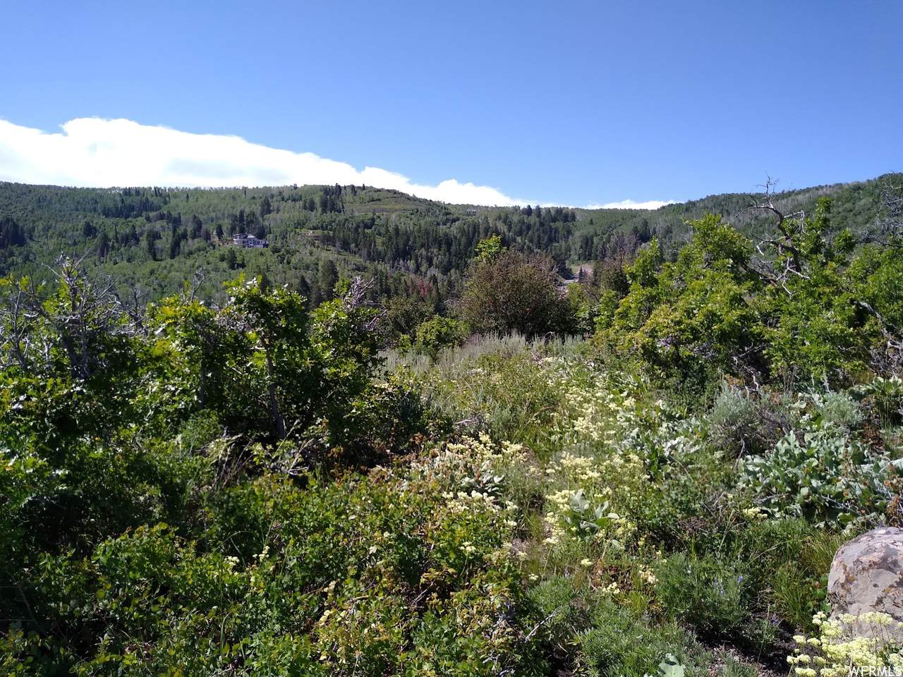https://bt-photos.global.ssl.fastly.net/wasatch/1280_boomver_1_2169479-1.jpg