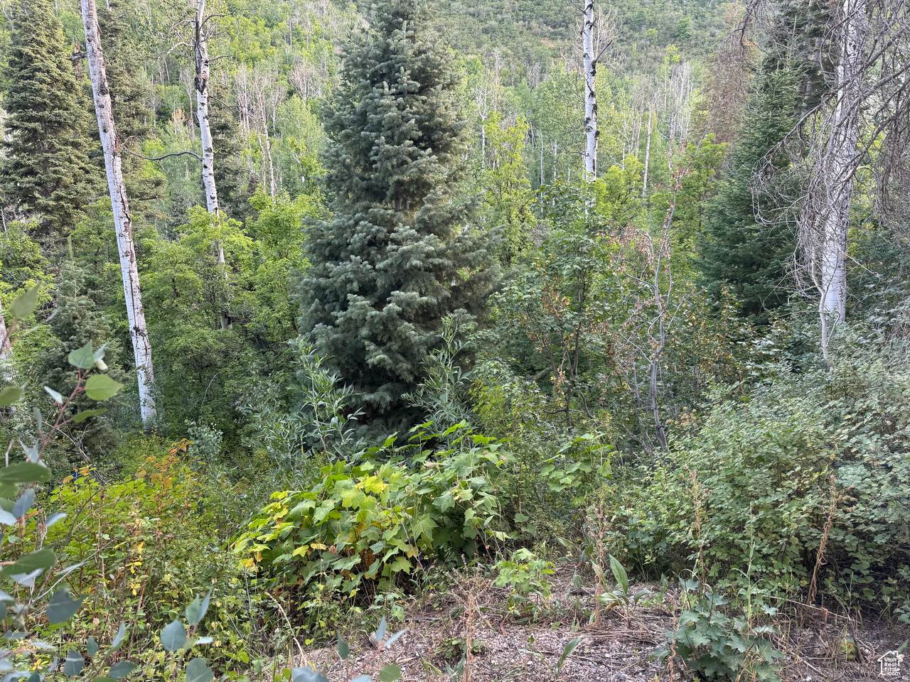 819 North Fork Rd - Photo 1