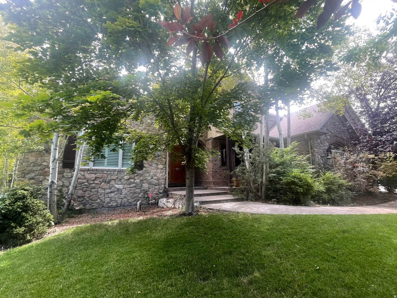 4061 Buck Holw - Photo 1
