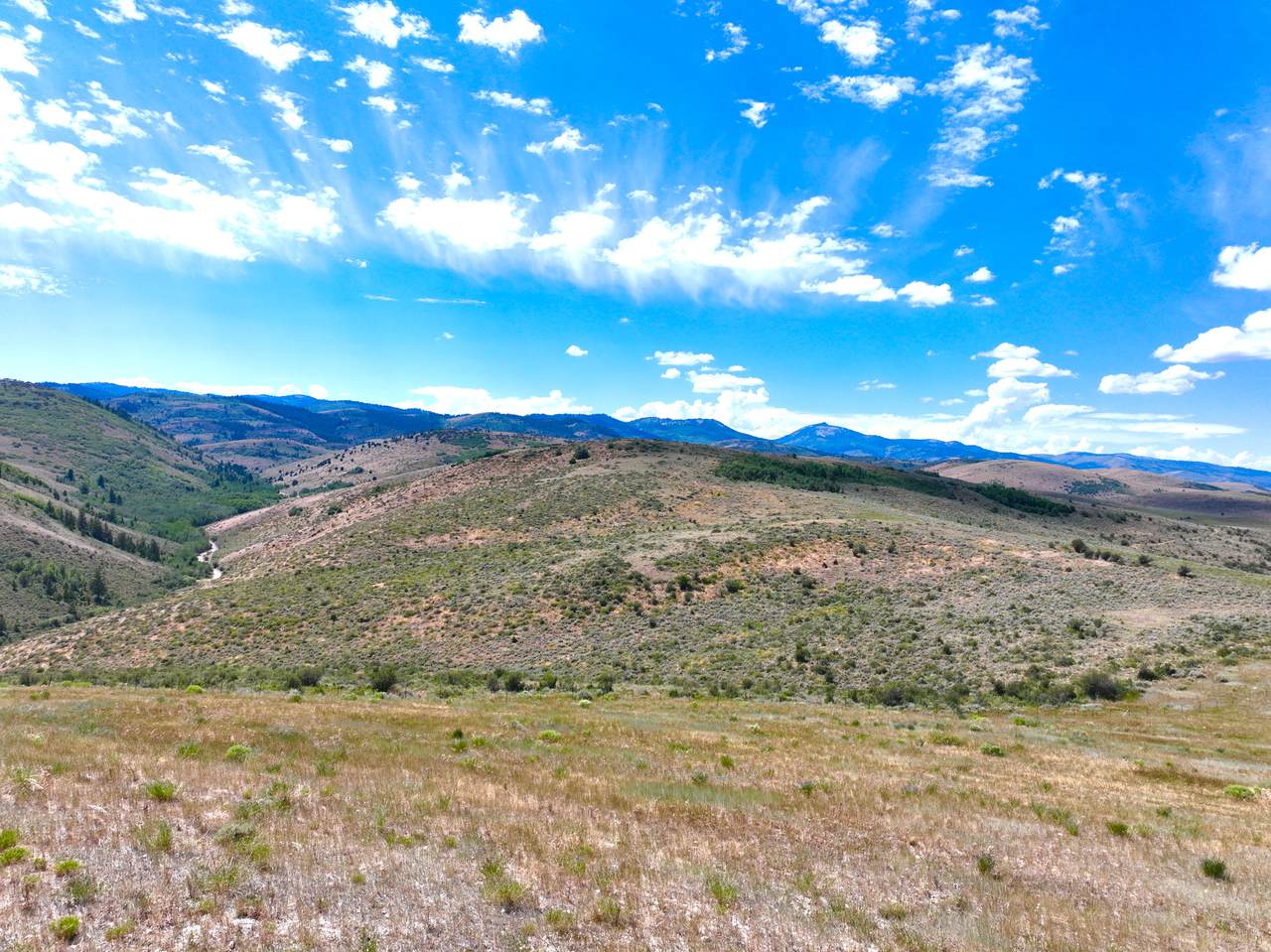 https://bt-photos.global.ssl.fastly.net/wasatch/1280_boomver_1_2172173-1.jpg