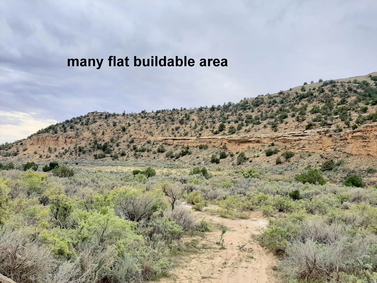 3366 Thompson Canyon Rd - Photo 1