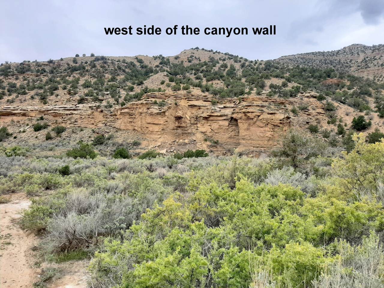 https://bt-photos.global.ssl.fastly.net/wasatch/1280_boomver_1_2173387-1.jpg