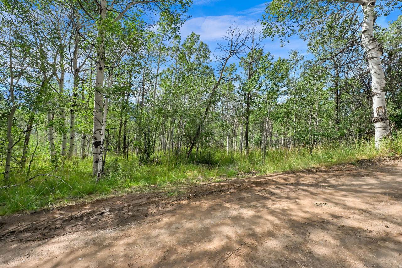 5426 Colter - Photo 1