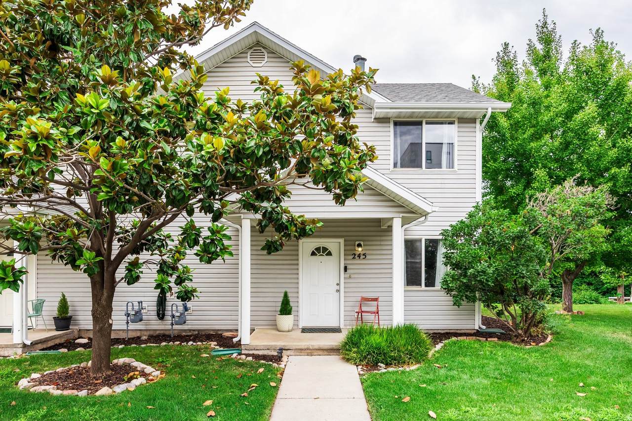 245 Bliss Ct - Photo 1