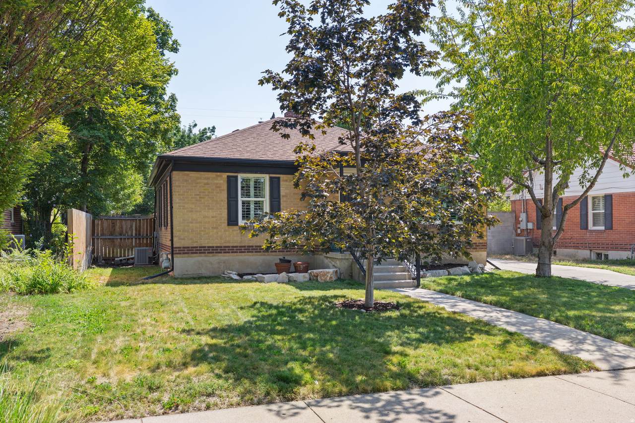 https://bt-photos.global.ssl.fastly.net/wasatch/1280_boomver_1_2176640-1.jpg