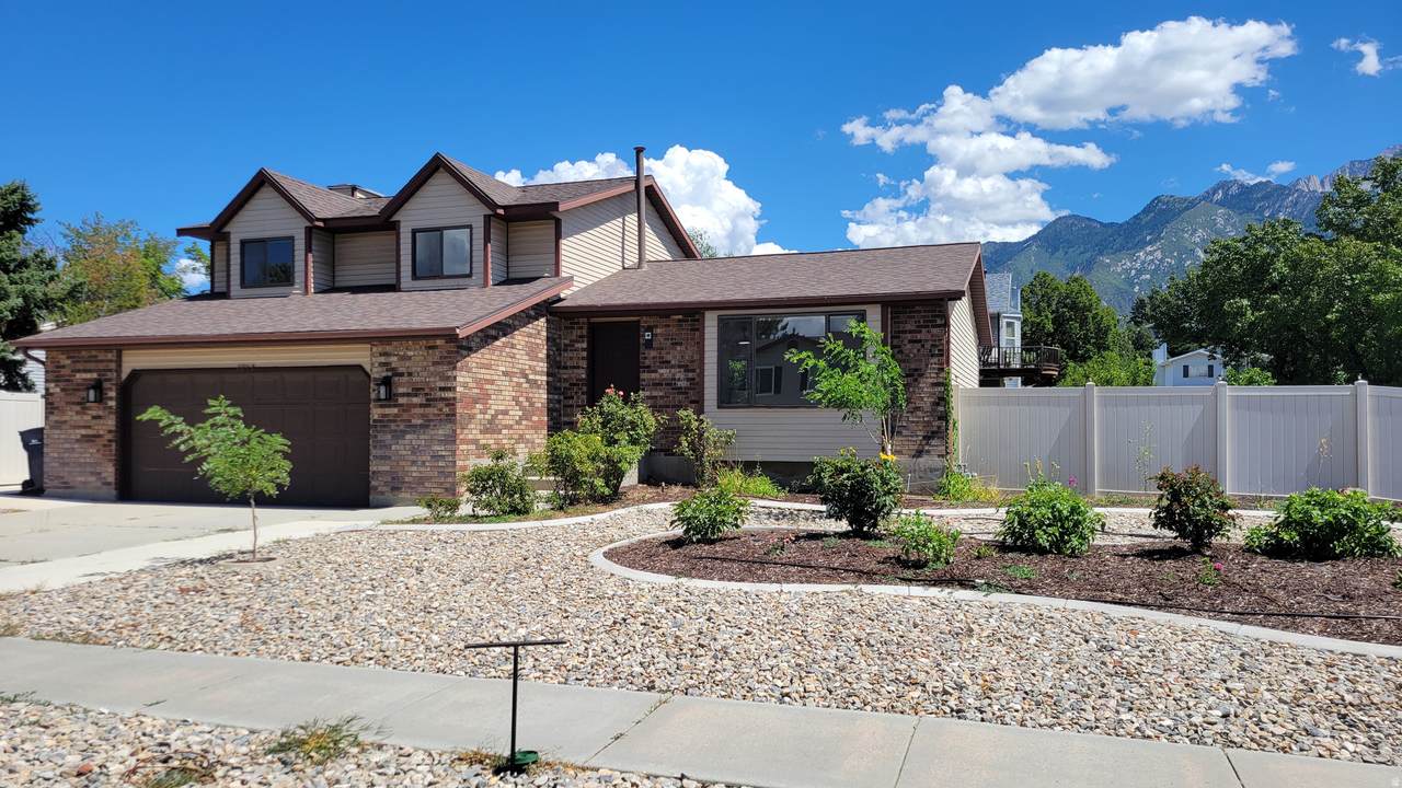 11153 Silver Queen Cir - Photo 1