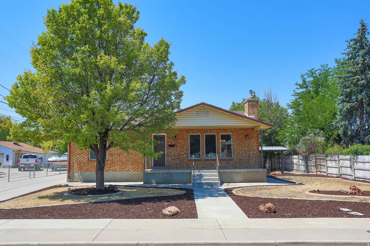 61 100 - Photo 1