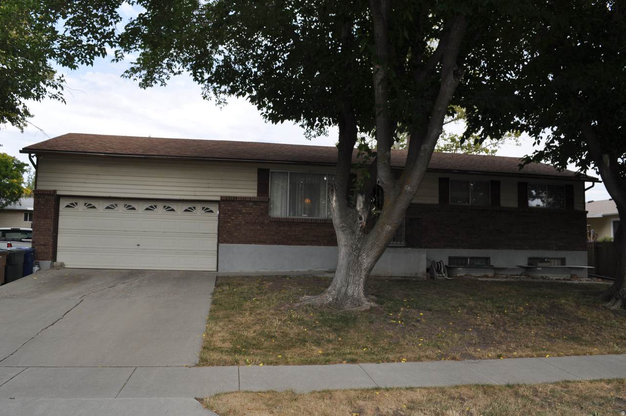 816 Morton Dr - Photo 1