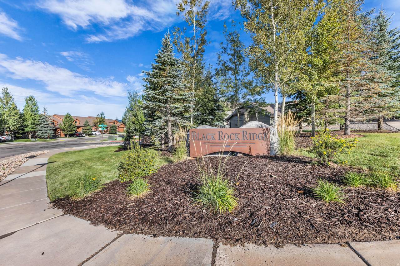 14275 Buck Horn Trl - Photo 1
